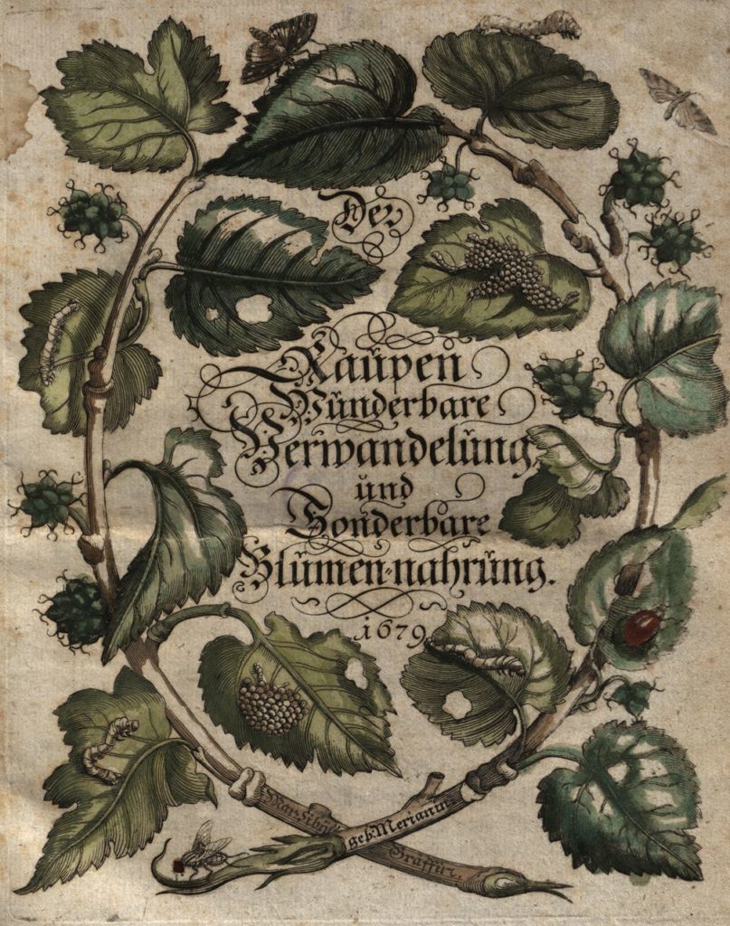 Eerste Volume van tekeningen op koper